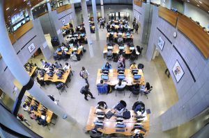 Students working in U of T library